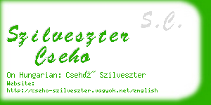 szilveszter cseho business card